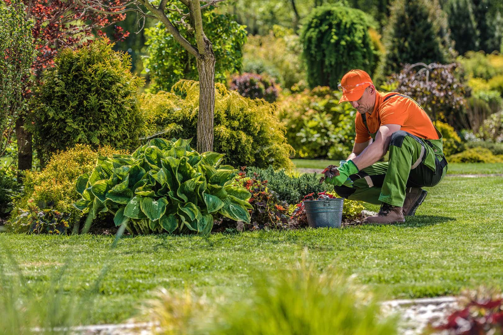 Service à la personne et entretien espace vert, Saint-Brice-sous-Forêt